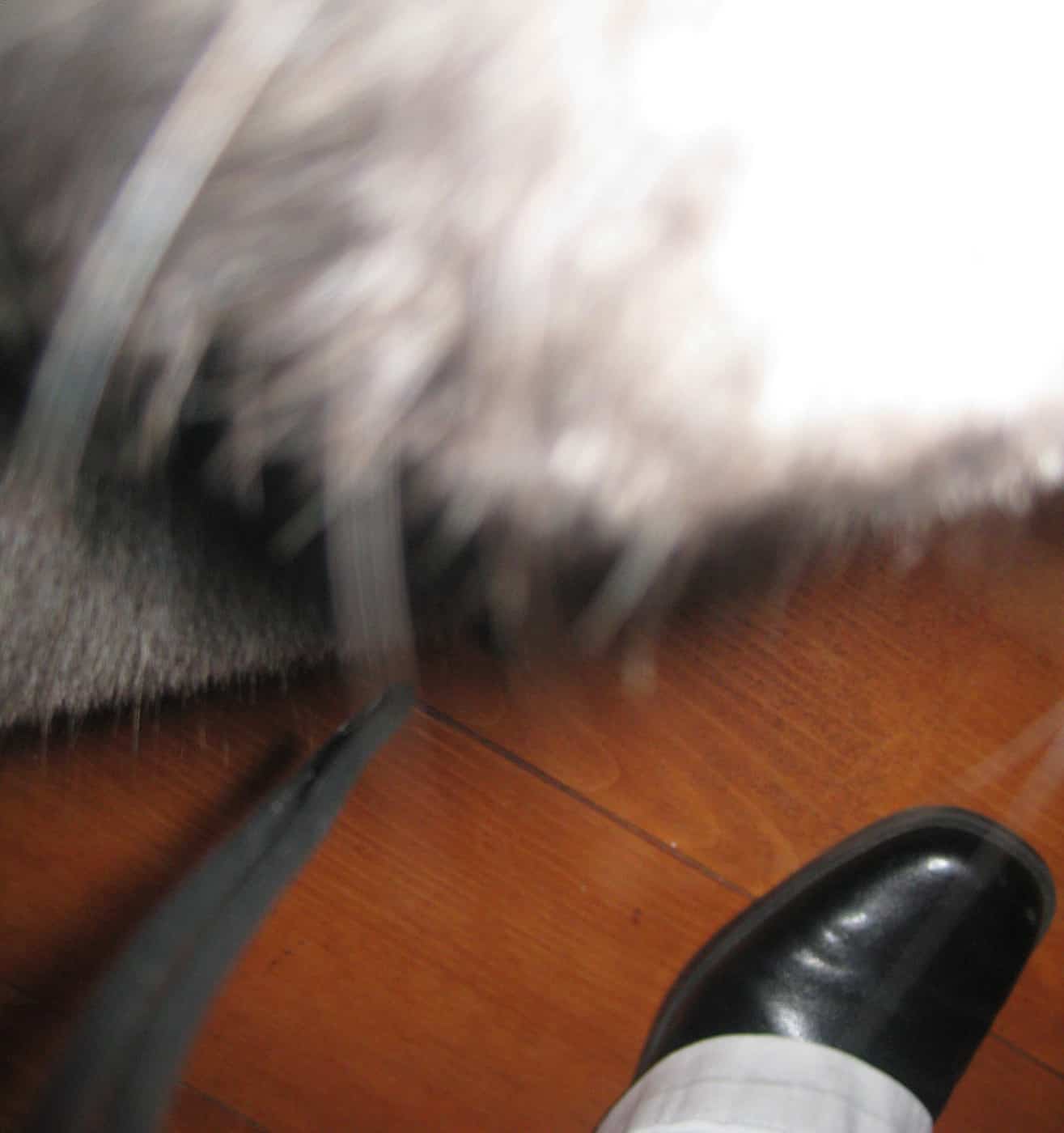 Little Bear, a Cookie, and the Moon