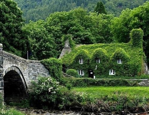 I’m Making Organic and Green Living Affordable For You