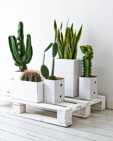 white planters with plants sitting on white pallet