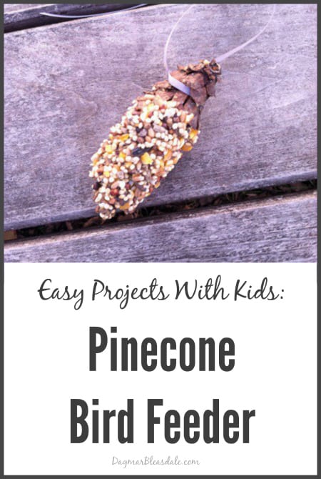 pinecone bird feeder, DagmarBleasdale.com