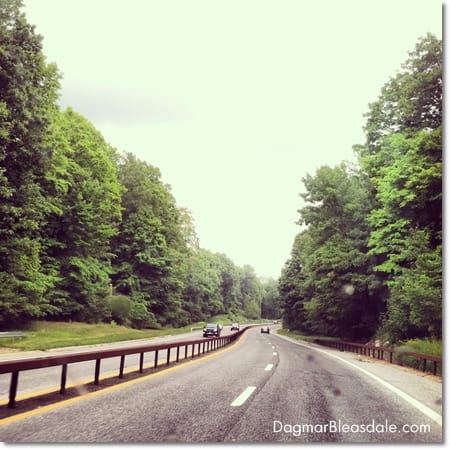 road trip in Westchester, NY, Taconic