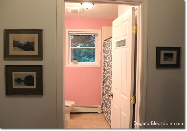 small cottage bathroom with toilet and shower curtain