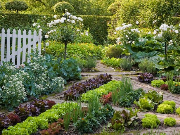 Cottage Garden Ideas from Pinterest for Our Blue Cottage