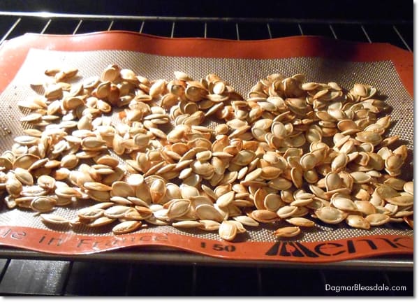 Roasted Pumpkin Seeds on baking sheet in oven