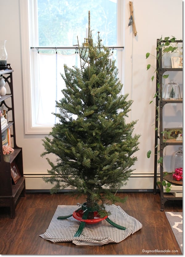 small Christmas tree without decorations, shelves with decor