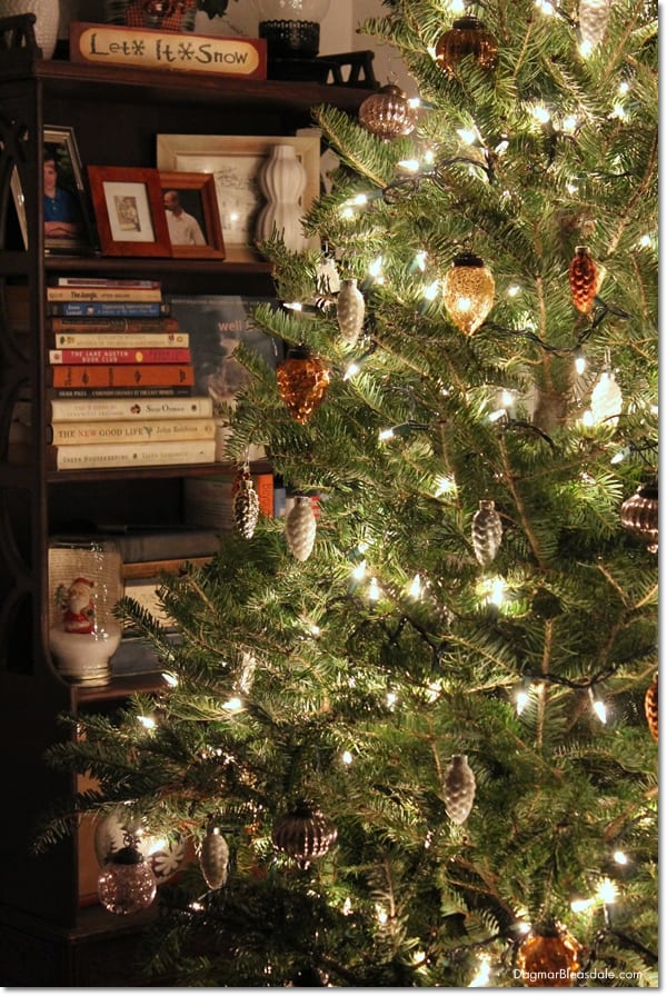 Christmas tree in front of shelf with books