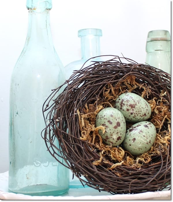 green vintage bottles and bird nest with eggs