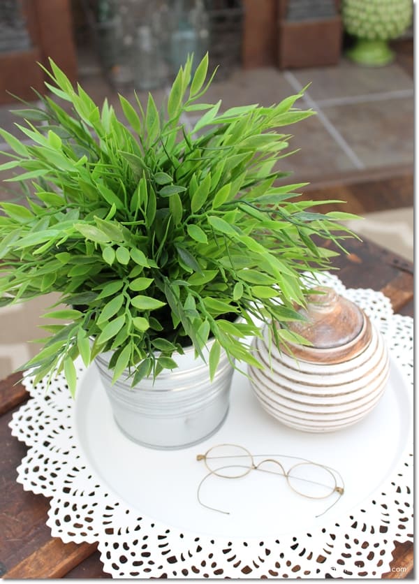 green plant on tray with vintage glasses