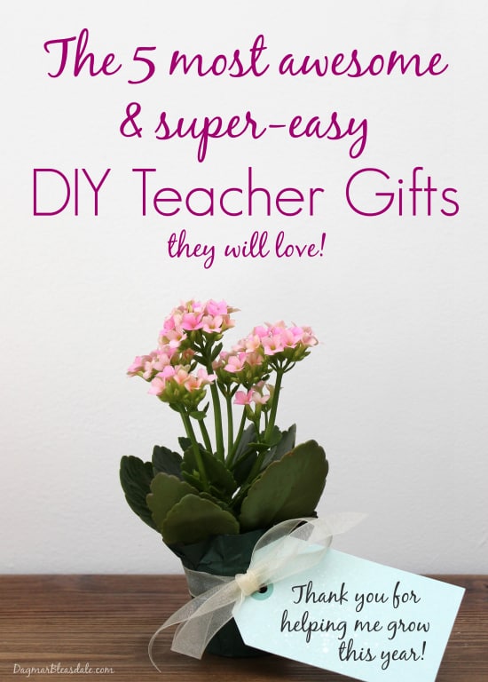 Easy DIY Teacher Gift Ideas, DagmarBleasdale.com