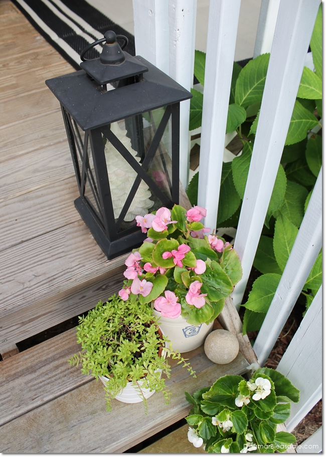 lantern with lit tree, potted plants on porch steps