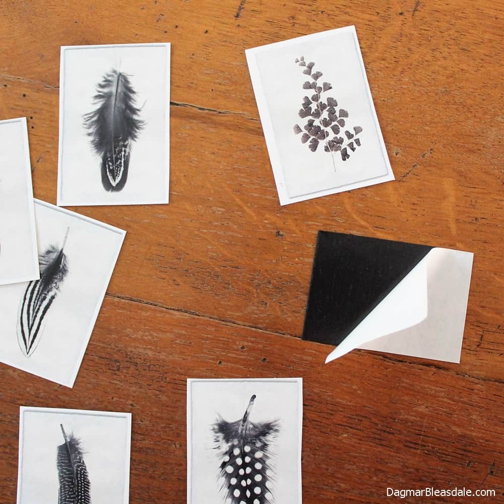 magnetic adhesive and small pictures of feathers on table