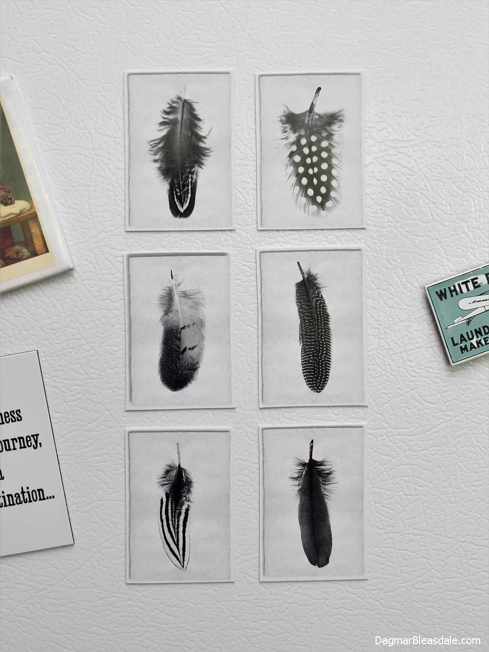 six small feather pictures made into magnets, on refrigerator door