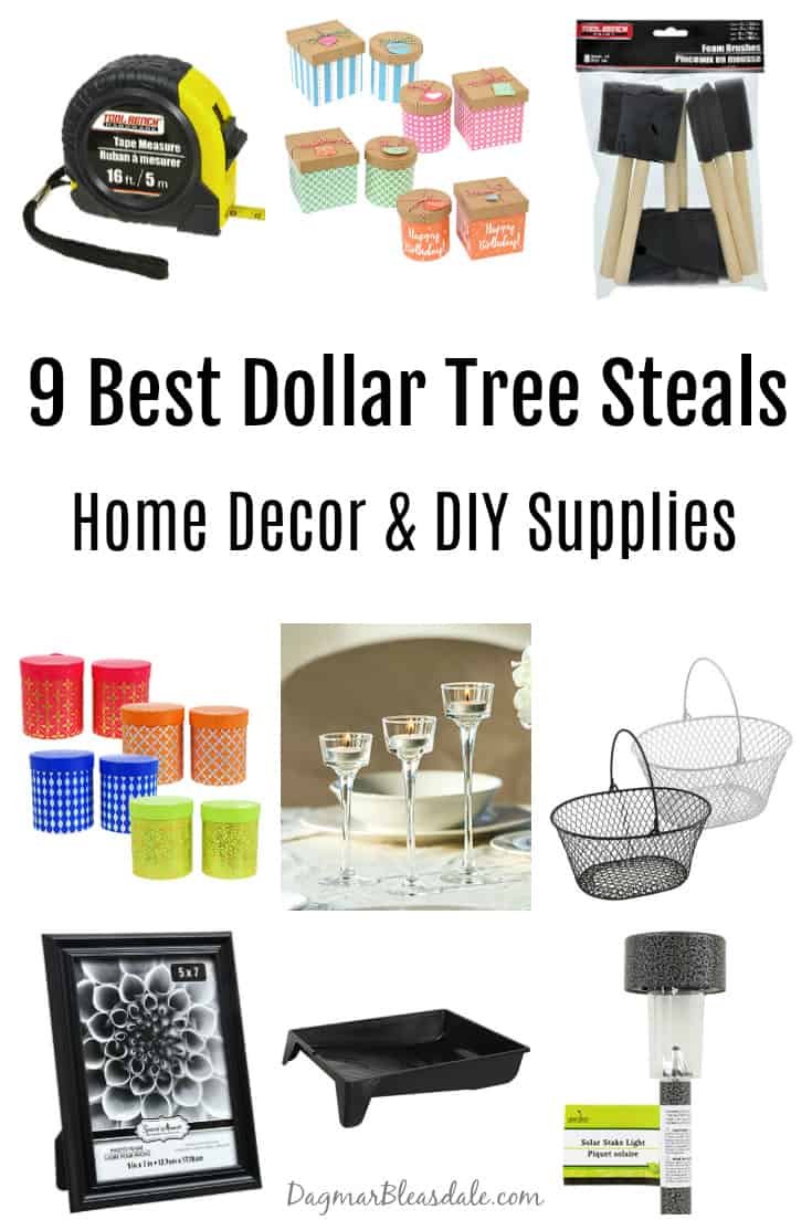 Dollar Tree Steals, DagmarBleasdale.com