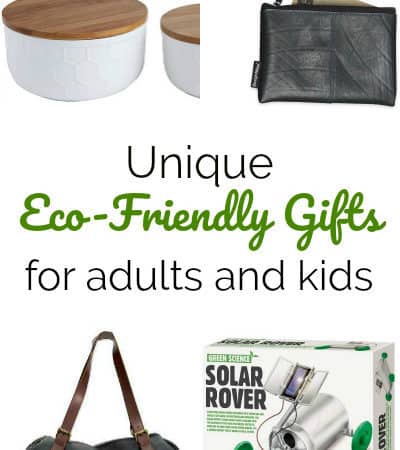 The Best Eco-Friendly Gifts for Kids and Adults
