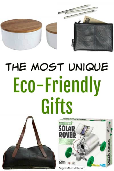 The Best Eco-Friendly Gifts for Kids and Adults, DagmarBleasdale.com