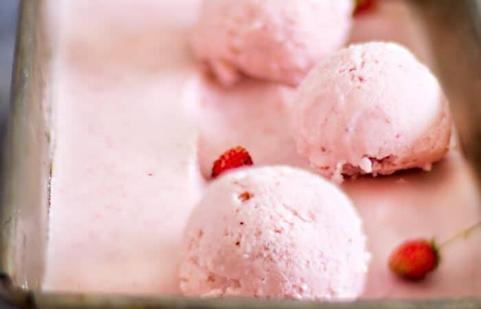 Homemade Frozen Yogurt and Ice Pops Recipes