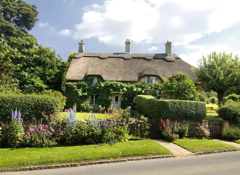 lushious cottage garden and English cottage with thached roof