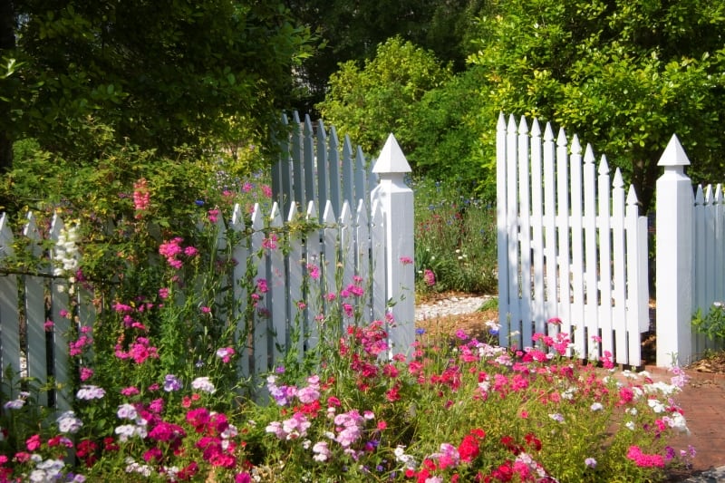 white cottage garden fence with gates, flowers in foreground
