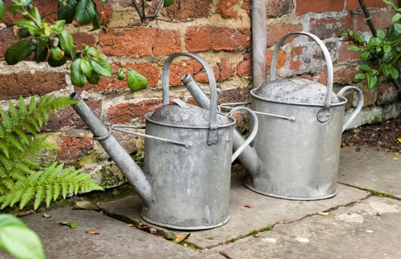 old watering cans and brick wall