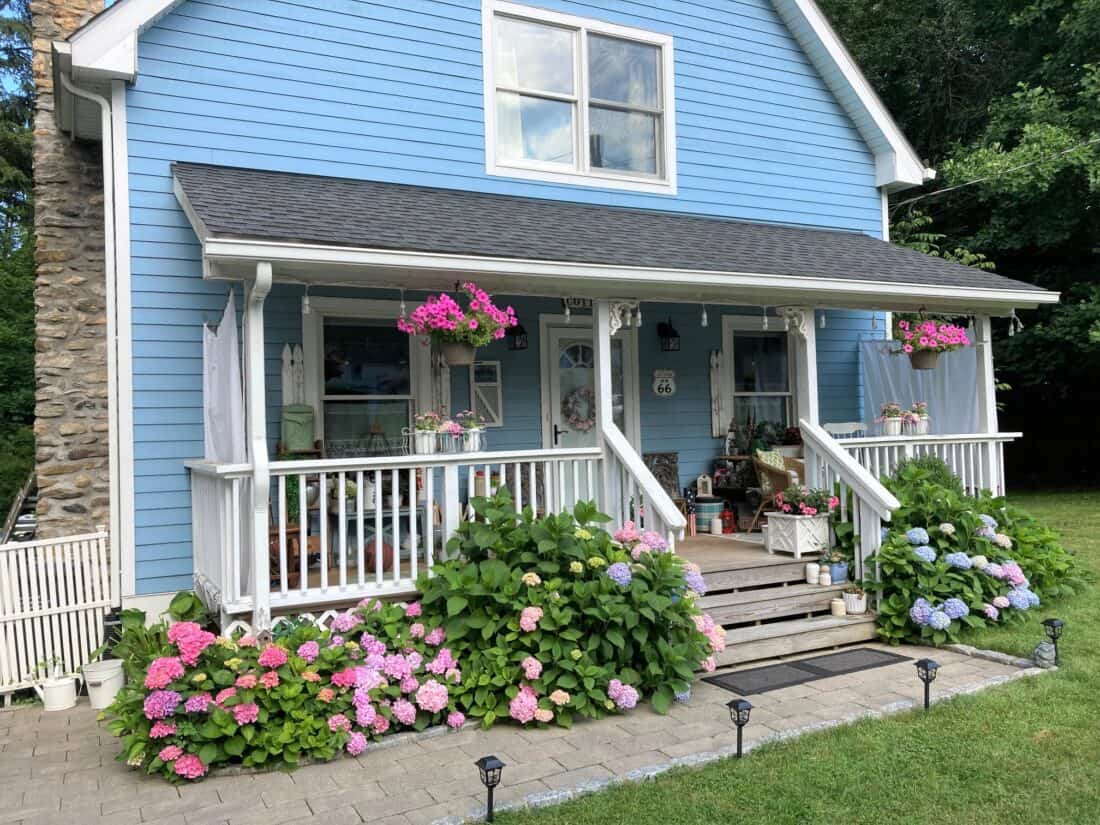 blue cottage with porch curtains and hydrangeas